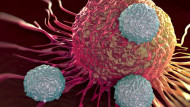 علاج مناعي جديد قد يعالج أغلب السرطانات