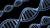 الجينات البشرية وفائدتها في علاج الأمراض الوراثية