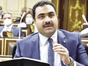 برلماني يطالب باستدعاء وزير الصحة بعد وفاة طفلتين في الإسكندرية